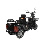 Электротрицикл GT X8 MAX — изображение 3