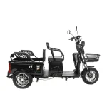 Электротрицикл GT X8 MAX — изображение 4