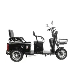 Электротрицикл GT X8 MAX — изображение 5