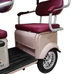 Электротрицикл GT X10 MAX — изображение 4