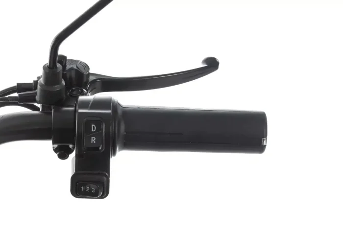 Электротрицикл GT X8 MAX — изображение 8