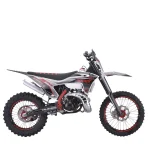 Мотоцикл эндуро ROCKOT GS FIVE Burnout