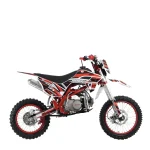 Питбайк ROCKOT BASIC 125 Demoniac 2.0