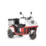 Электротрицикл Vanshida DOUHAO