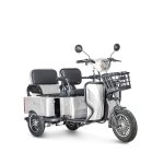 Электротрицикл Rutrike Gelbert Tuban