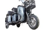 Электротрицикл Rutrike Gelbert Tuban — изображение 3