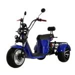 Электротрицикл IKINGI M7 PRO TRIKE