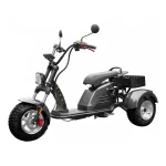 Электротрицикл IKINGI M6 PRO TRIKE