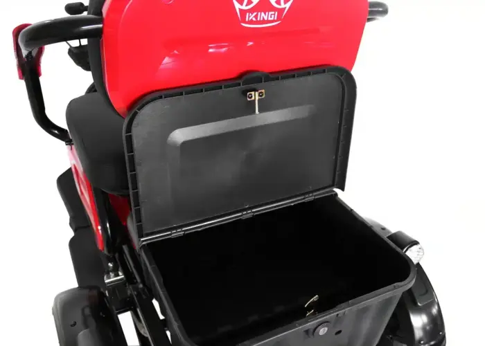 Электротрицикл IKINGI SIBTRIKE 115K — изображение 4