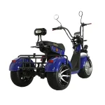 Электротрицикл IKINGI M7 PRO TRIKE — изображение 6