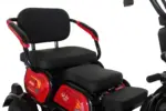 Электротрицикл IKINGI SIBTRIKE 115K — изображение 5