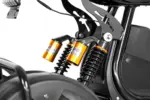 Электротрицикл IKINGI X1 PRO TRIKE — изображение 6