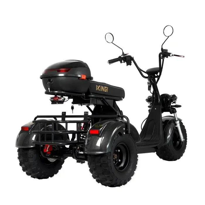 Электротрицикл IKINGI X7 PRO TRIKE — изображение 2