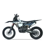 Мотоцикл эндуро BRZ X8 NB300 24 BE