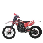 Мотоцикл эндуро BRZ MX5 PR300