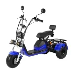 Электротрицикл CityCoCo X6 PRO TRIKE
