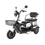 Электротрицикл GT EV-3