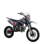 Мотоцикл эндуро NINE FOX VIGOR 150