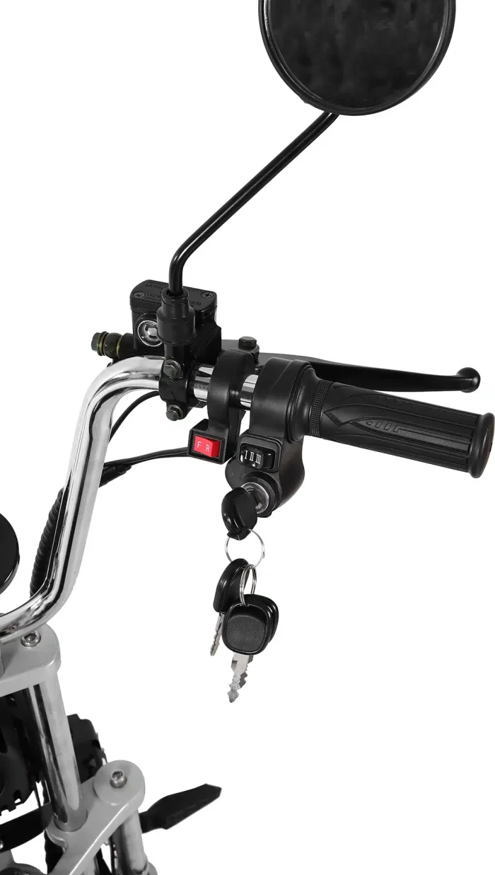 Электротрицикл CityCoCo X6 PRO TRIKE — изображение 12
