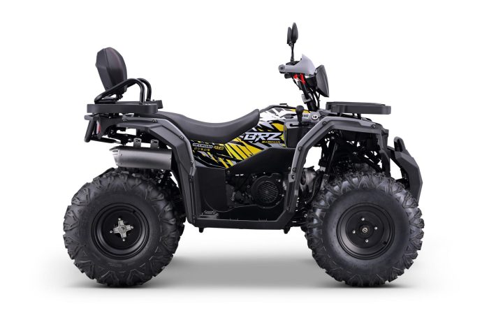 Квадроцикл BRZ Barkhan 200 — изображение 5