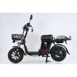 Электровелосипед SmartBalance Master Pro 50 Ah — изображение 2