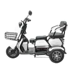 Электротрицикл GT EV-3 — изображение 2