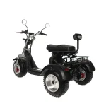 Электротрицикл GT M11 TRIKE — изображение 2