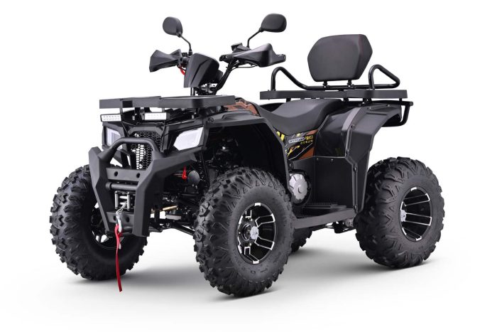 Квадроцикл BRZ Barkhan 200 Pro — изображение 2