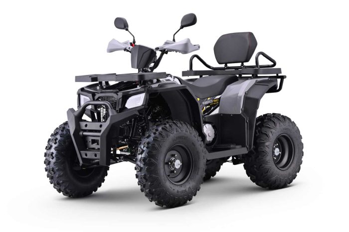 Квадроцикл BRZ Barkhan 200 — изображение 2