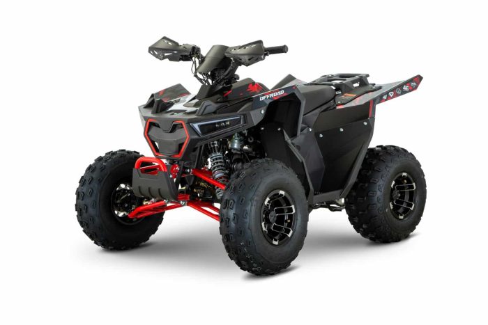 Квадроцикл BRZ Drake 125 Pro — изображение 2