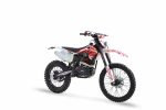 Мотоцикл эндуро BRZ MX5 PR250 RED LITE 23 — изображение 4