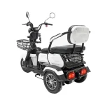 Электротрицикл GT EV-3 — изображение 3