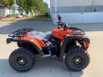 Квадроцикл RAM ATV SW600 — изображение 6