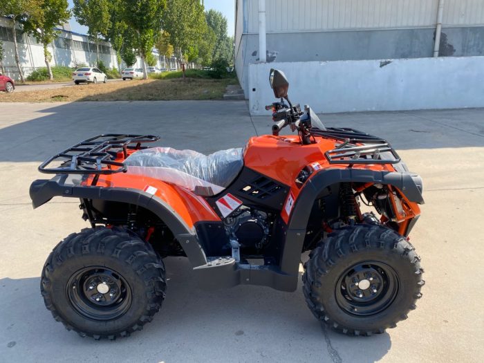 Квадроцикл RAM ATV SW600 — изображение 6