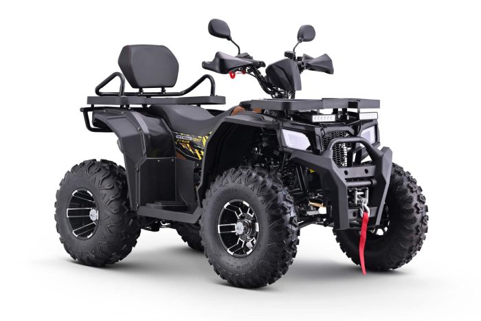 Квадроцикл BRZ Barkhan 200 Pro — изображение 4