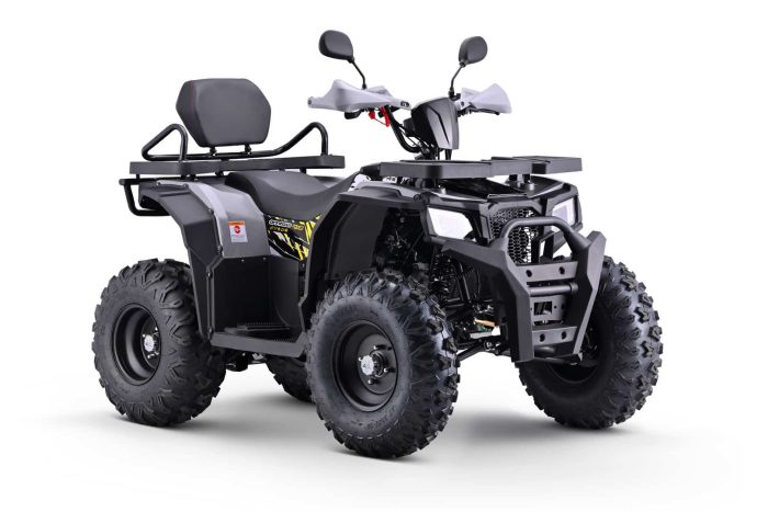 Квадроцикл BRZ Barkhan 200 — изображение 4