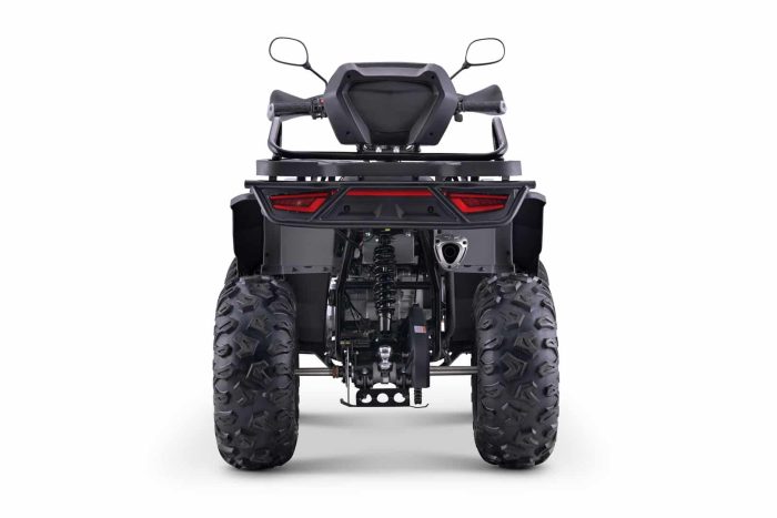 Квадроцикл BRZ Barkhan 200 — изображение 7