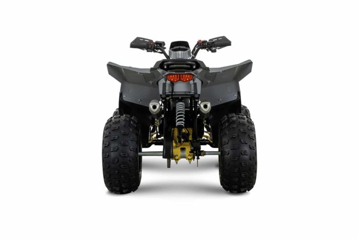 Квадроцикл BRZ Drake 125 — изображение 7