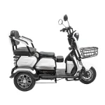 Электротрицикл GT EV-3 — изображение 6