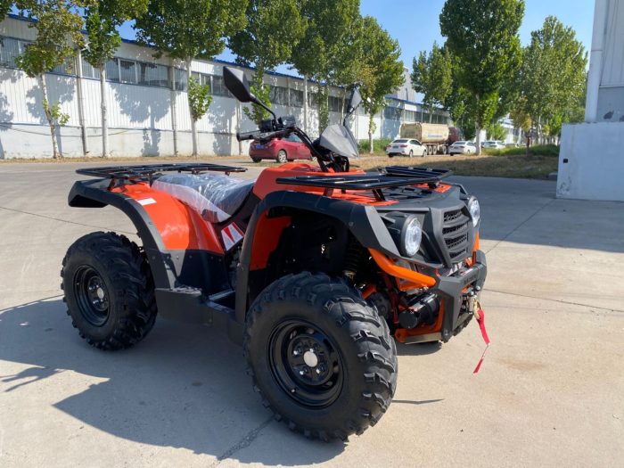 Квадроцикл RAM ATV SW600 — изображение 7