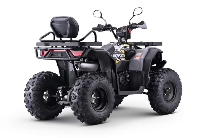 Квадроцикл BRZ Barkhan 200 — изображение 6