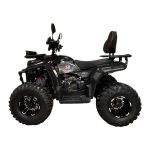 Квадроцикл SmartBalance Patrul 200 — изображение 4