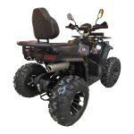 Квадроцикл SmartBalance Patrul 200 — изображение 5