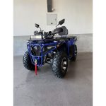 Квадроцикл SmartBalance Ranger 200 — изображение 3