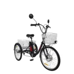 Электровелосипед AVM E-ALFA TRIKE 24