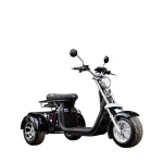 Электротрицикл AVM CityCoco Axel 2000