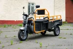 Грузовой электротрицикл AVM Cargo mini 800 — изображение 3