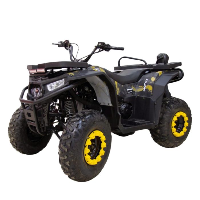 Квадроцикл MOTAX GRIZLIK W200 — изображение 1