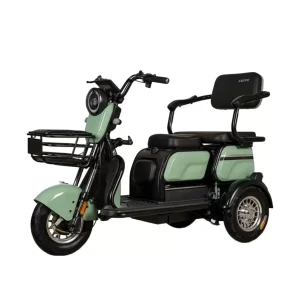 Электротрицикл Wenbox X1