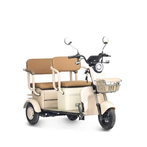 Электротрицикл Wenbox X2